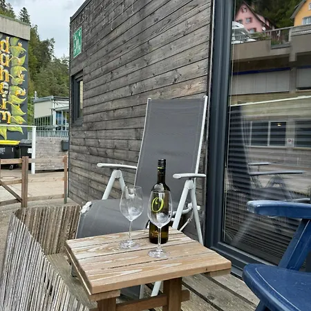 Ferienhaus Tiny House Triberg *